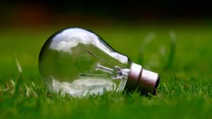 Lightbulb on grass, environmental benefits of going solar